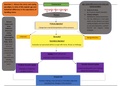 Developmental Psychology mindmap