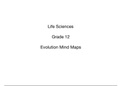 Grade 12 IEB Biology Evolution Mind Maps