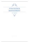 Samenvatting 'strategisch management'