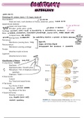 Osteology Notes 