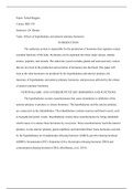 Endocrine System-Research Essay