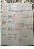 Lab Notes Unit 1 Human Anatomy 