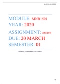 MNB1501 - Assignment 01 - 858169