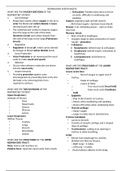 Respiratory System Summarized Notes