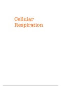 Theme 6 Cellular Respiration