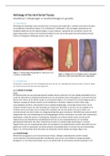 Hoofdstuk 2 uit Pathology of the Hard Dental Tissues