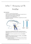 Chromosomes and the karyotype 