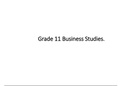 Business Studies Grade 11 