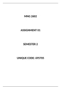 MNG2602 Assignment 1 Semester 2