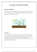 DYNAMICS  OF PHOTOSYNTHESIS