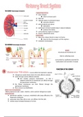 Kidney, Nervous System, Circulatory System & Endocrine Study Notes