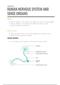 Human Nervous System and Sense Organs