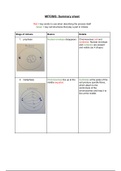 Biology - Mitosis basics and details summary with simplified drawings