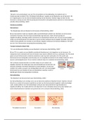 Infographic beroertes (tia, herseninfarct, hersenbloeding)