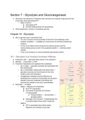 Samenvatting "Biochemistry: A Short Course" (John L. Tymoczko) Section 7 (H16 en H17)