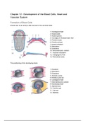 Samenvatting "Essentials of Domestic Animal Embryology" by Poul Hyttel chapter 12