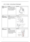 Anatomie in Vivo K1 - Onderbeen, bovenbeen, enkel, knie en voet