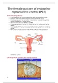 The female patter of endocrine reproductive control
