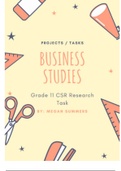 Business Studies CSR Research Task