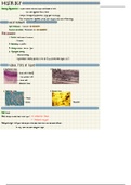 Histology-Epithelia and gland tissue