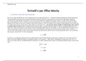 IB Physics HL IA (Internal Assessment): Torricelli's Law, Efflux Velocity