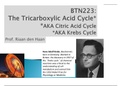 BTN223 3 - TCA cycle