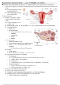 Reproductive System: Female - Lesson 27 (Modules 26.4-26.5)