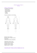 Basis anatomie leerjaar 1 Fontys 