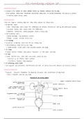 Summarised Notes of the Human Excretory System (IEB Grade 11)