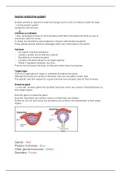 Grade 12 IEB Life Sciences/Biology Notes - Human Endocrine System