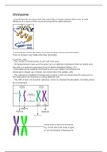 Grade 12 IEB Life Sciences/Biology Notes - Chromosomes, Mitosis and Meiosis