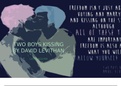 Presentation about the book Two Boys Kissing  by David Levithan