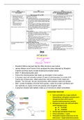 DNA notes and summaries - IEB syllabus