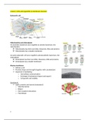 Cell biology summary course 5/term 2