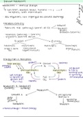 Biochemistry Overview of Metabolism Lecture Notes