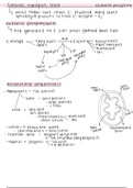 Biochemistry ETC Lecture Notes