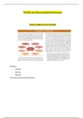 NURS 261 Musculoskeletal System_2020 | NURS261 Musculoskeletal System