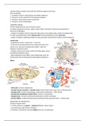 Summary Immunology and Immunology & Disease