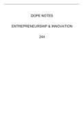 Entrepreneurship and Innovation 244 Notes