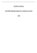 Entrepreneurship and Innovation 348 Notes