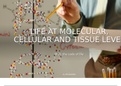 Life at molecular, cellular and tissue level