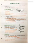 A Level Biology - Nucleic Acids Notes