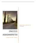 ENG1515  ASSIGNMENT 03