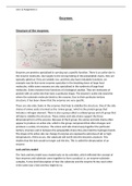 Essay Unit 13 - Biochemistry and Biochemical Techniques - Enzymes - P4, P5, M3 & D3
