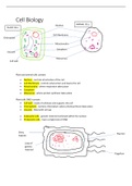 AQA GCSE B1-Cell Biology