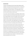 Descriptive essay on the space shuttle challenger ( Received 100%)