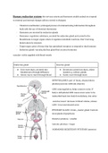Endocrine system notes 
