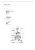 Digestive System Summary