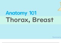 Anatomy 1: Thorax & Breast