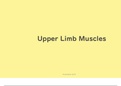 Anatomy 2: Upperlimb Muscles